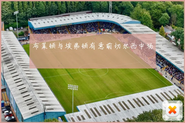 布莱顿与埃弗顿有意前切尔西中场