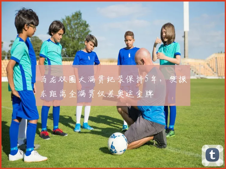 马龙双圈大满贯纪录保持5年，樊振东距离全满贯仅差奥运金牌